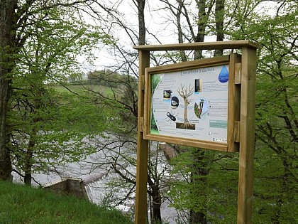 Le sentier de la Gourgue de Maroule