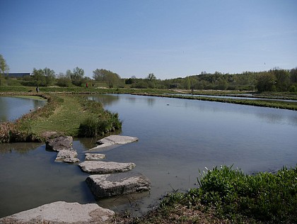 Le lagunage de Harnes