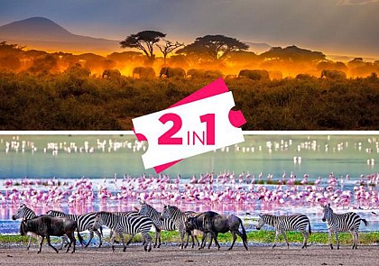 Safari 3 jours/ 2 nuits - Tarangire & Ngorongoro (Tanzanie) - Transferts inclus depuis Zanzibar