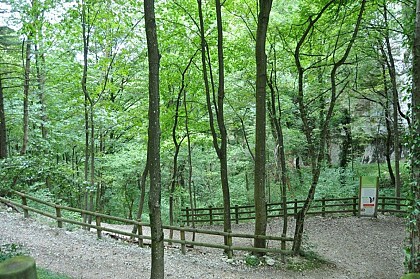 Désert Jean-Jacques Rousseau