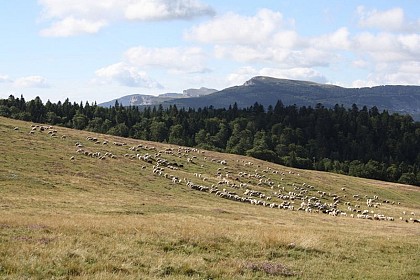 The Chironne mountain pasture