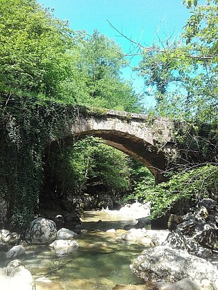 The Chartreux Bridge
