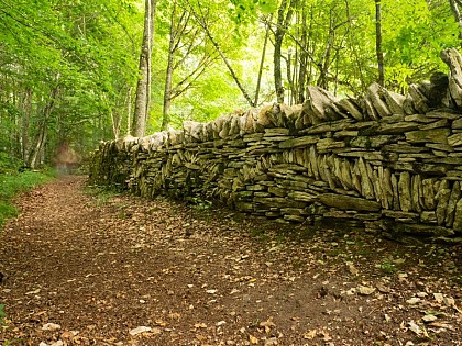 Le serpent de Lauzes