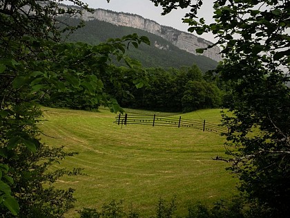 Partition des oiseaux