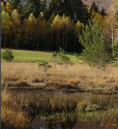 Mosaïque de milieux