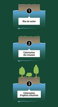 Torrent du Bournillon