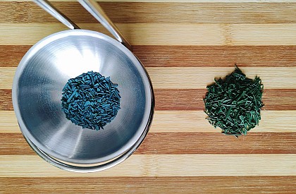 Spiruline Val de Ré