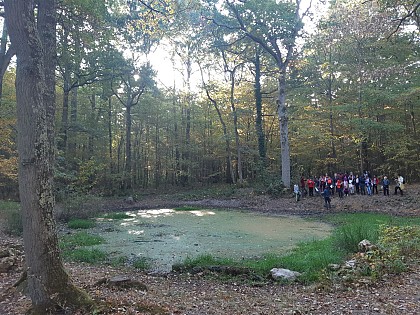 Circuit sportif avec agrès au bois de La Rochette