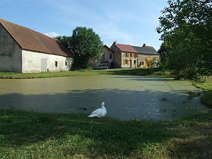 Mare communale du Peux