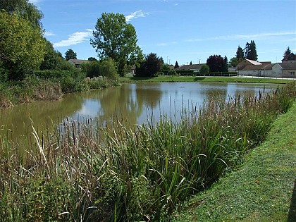 Mare communale des Gannes