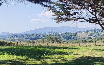 Fromage de l'Abbaye de Belloc