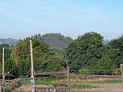 Terril of Bonne Espérance