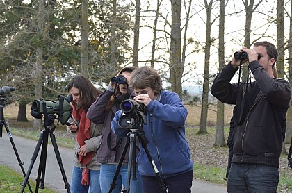 Cabane observation des oiseaux