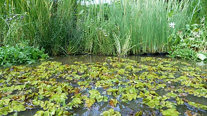 Jérôme au Fil de L'Eau