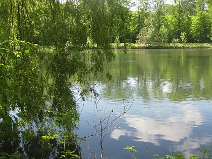 Etang de Meudon
