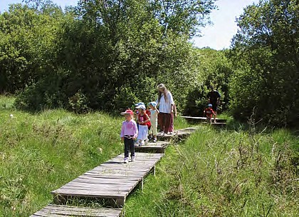 Tourbière du Mougau