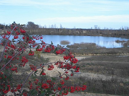 Anciennes gravières de Saint Laurent d'Arce