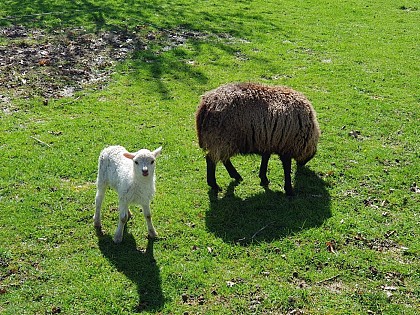 Léchappée Breizh