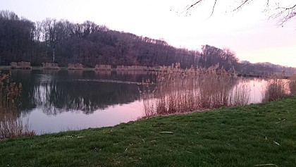 Etang du Vivier