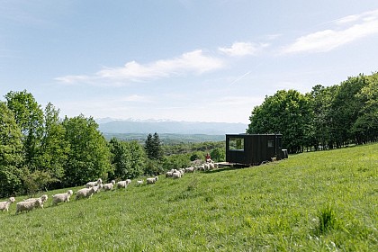 TINY HOUSE DE LA FERME DE COURNEILLAC
