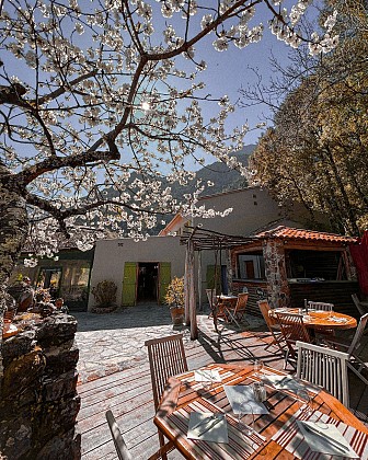 Auberge de la Forêt - Bonifatu