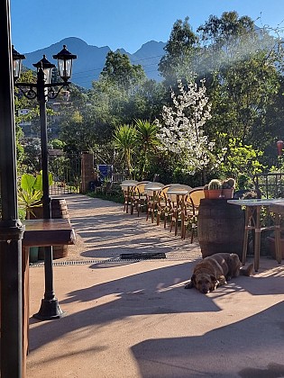 Gîte d'étape L'Alivi - Serriera