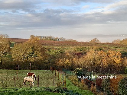 Les Chambres de la Divatte