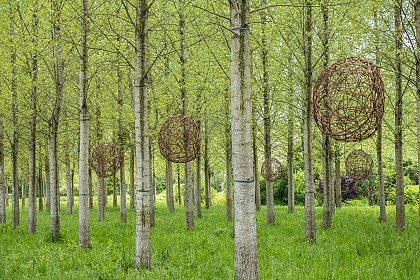 Cumières / Multivers - Silva Hilkka