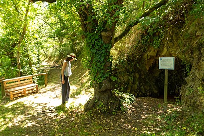 Sources salées de Saurier
