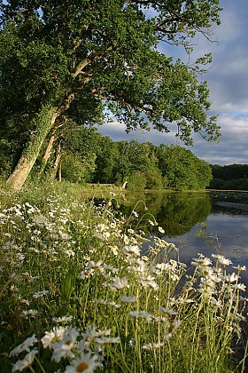 L'Etang de la Benette