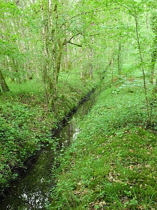 Espace naturel sensible de la Ferté-Vidame