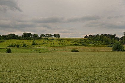 La pelouse de Bonville
