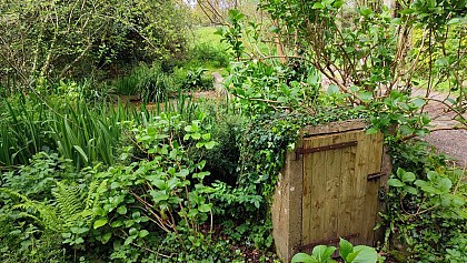 Lavoir et source du Stalvar
