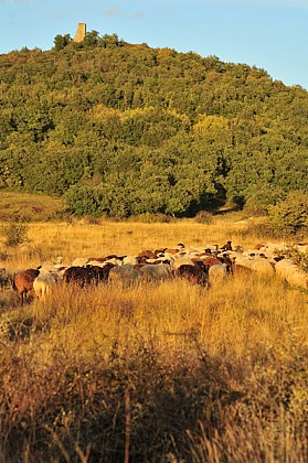 Vichel and the peak of Montcelet (738m)