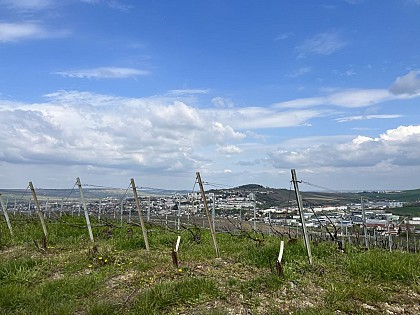 Point de vue - Chemin de la barbière aux Bosses