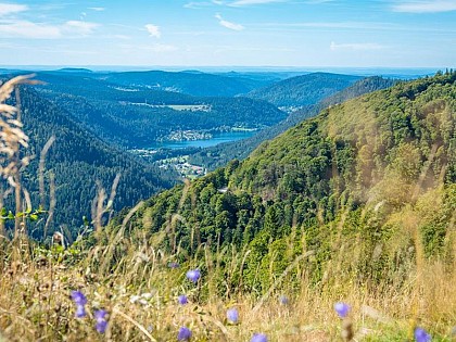 Tables de pique-nique - Route des crêtes