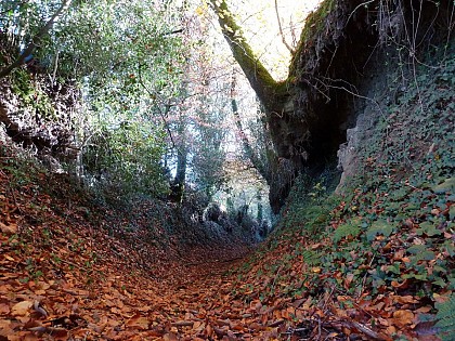 Chemin creux au Fouillé