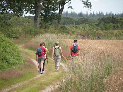 Chemin du Roi Salomon
