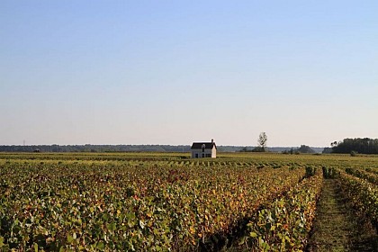 Aire de camping-cars (Vignobles Jourdain)