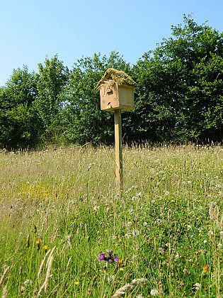 La vallée de Plurit