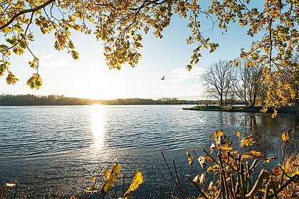 La Boucle des Bonniers
