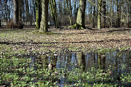 Domaine du Vert Bois