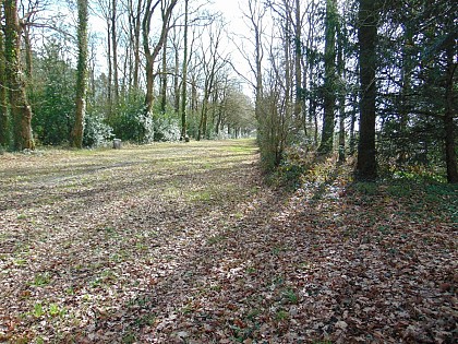Sentier du Détroit ( Départ Parking de la Forêt) - St Martin des Noyers