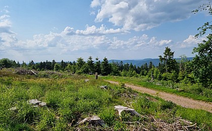 La chaume Saint Jacques - viewpoint