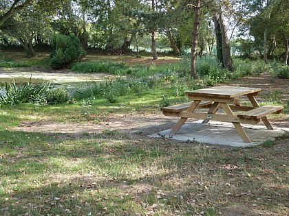 Aire de Pique Nique > Mare de la commune
