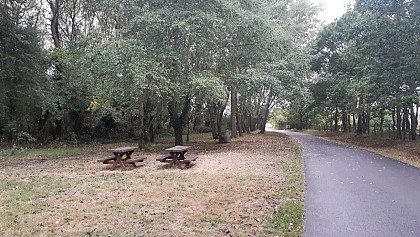 Aire de Pique Nique > Les peupliers - Annoville