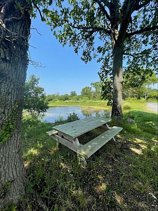 Aire de pique-nique > La mare aux grenouilles