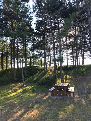 Aire de Pique Nique > Havre de la Vanlée - Lingreville