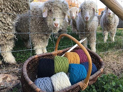 Ferme de l'Aritoire - Cosmétiques MALVA / MALVA Mohair & Tricots / Saveurs MALVA