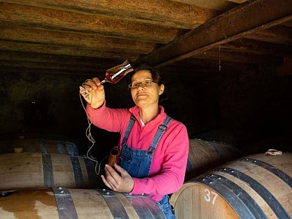 Les Vergers de la Morinière